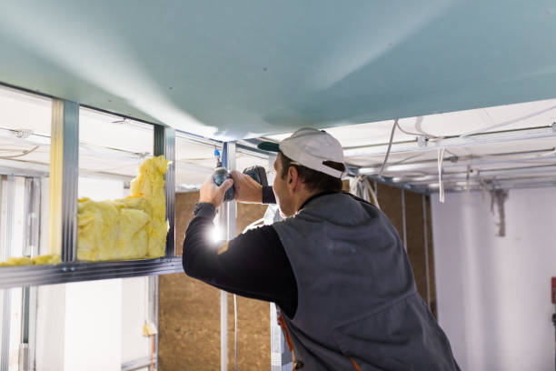 Best Commercial Insulation in Niagara University, NY
